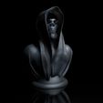 ShopA.jpg Skull with cape bust pedestal