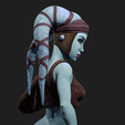 Looking-back.png Aayla Looking over shoulder
