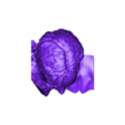 Head.stl RE 2 Remake William Birkin / no supports