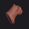 leopard_0007.jpg Leopard Head