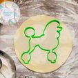 33333.jpg Stencil (set) dog cookie cutter