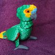 IMG_20240602_165349350.jpg Amazon Parrot Articulated Figure