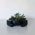 tempImagecpwvqF.jpg STL file Succulent planter bowl - garden on your desk・3D printable model to download