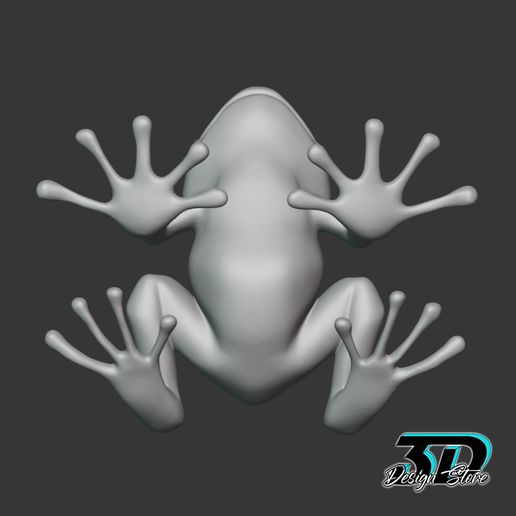 r02.jpg Frog tree frog tree