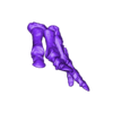 Manual_Bones_Left.stl Skeleton of baby Triceratops Part06/07