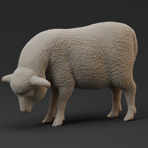 5.png SCHAF-ZIEGE-RUDEL