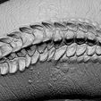 D3.jpg STL-Datei Mosasaurus・Modell zum Herunterladen und 3D-Drucken