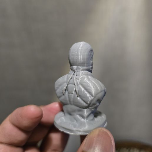 20260101_202554.jpg Бюст Sub Zero