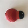 IMG_6363.JPG Ladybug Phone Stand