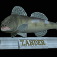 zander-statue-4-mouth-open-17.png fish zander / pikeperch / Sander lucioperca open mouth statue detailed texture for 3d printing