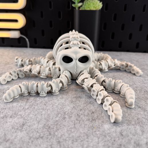 IMG_7970.jpg Articulated Skeleton Octopus