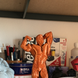 ARNOLD 2