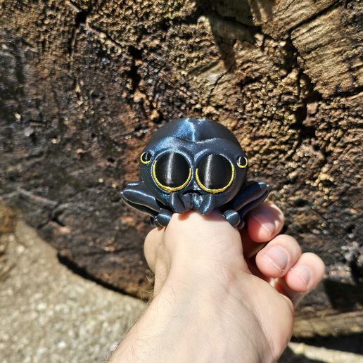 20240607_115643.jpg "Bitsy" the Flexi Jumping Spider