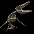 2.png Esqueleto de Mosasaurus