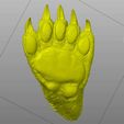 oso2.jpg Andean bear paw Scanned life-size paw of a male Andean bear