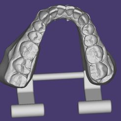 bandicam 2020-10-07 15-45-53-157.jpg STL-Datei ARTICULATED LOWER DENTAL MODEL, ARTICULATED LOWER DENTAL MODEL・Design für 3D-Drucker zum herunterladen