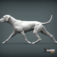 rhodesian-ridgeback-running2.jpg rhodesian ridgeback running 3D printed model