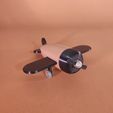 IMG_20250615_140655.jpg TOY PLANE
