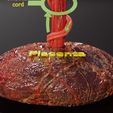 ps-0013.jpg Fetal and adult blood circulation