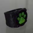 Capture d’écran 2016-11-29 à 10.31.07.png STL-Datei Chat Noir's Ring kostenlos・3D-druckbares Objekt zum herunterladen