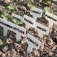 01902496768ef58c3065c94fccb56943_display_large.JPG Archivo STL gratis Señales/etiquetas de verduras・Objeto imprimible en 3D para descargar