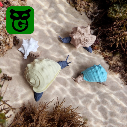 Sea Snail Flexi (magnetic) 3D model