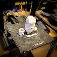 IMG_3728.jpg STL-Datei Minion FLEXI Gelenkige Minions Verachtenswert Ich・3D-Drucker-Vorlage zum herunterladen