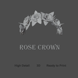 Screenshot-2024-01-24-192818.png Rose Gold Laurel Crown