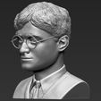 3.jpg Harry Potter bust ready for full color 3D printing
