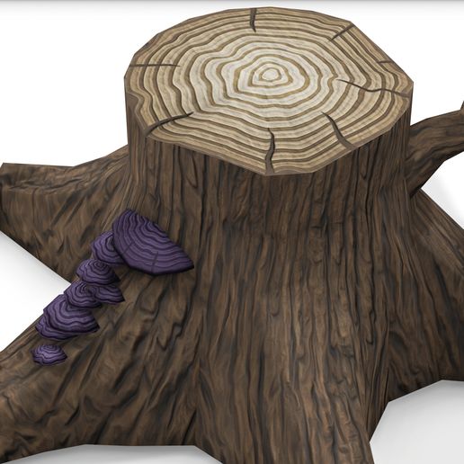 4.jpg Срез ствола дерева WOOD