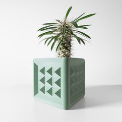 DSC09963.jpg The Novo Square Planter Pot with Drainage Tray: Modern and Unique Home Decor for Plants and Succulents  | STL File