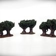 Deciduous-Trees-Old-Forest-Double-Copses-Angle-1-Vignette.jpg Deciduous Trees Deluxe Bundle