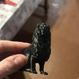 c5e2e12c-3c92-4b10-ac83-b8766ac02111.jpg Lion Sculpture