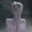 IMG_3134.jpg Necklace Bust (Pre Supported)
