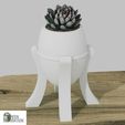 20.jpg Combo of 6 flower pots models for 3d printing, #A3