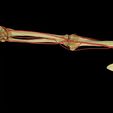 upper-limb-arteries-axilla-arm-forearm-3d-model-blend-6.jpg Upper limb arteries axilla arm forearm 3D model