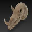 Screenshot-2025-12-05-191435.png Cabeça Rhino de parede