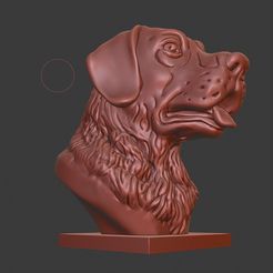 a074dce076fc07833eab35f0dd44e726_display_large.jpg Archivo STL gratis Busto de labrador Retriever (Cabeza de perro)・Objeto para impresora 3D para descargar