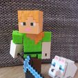 IMG_20210613_115038.jpg Minecraft Alex