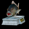 Dentex-mouth-statue-7.png fish Common dentex / dentex dentex open mouth statue detailed texture for 3d printing