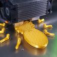 20191005_204744.jpg Fichier STL gratuit Skully the spider・Design pour imprimante 3D à télécharger