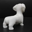 Cod241-Dog-Dachshund-Holder-10.jpeg Dog dachshund Holder