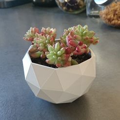 DSC_2382.JPG Free STL file Low Poly Planter・3D print design to download