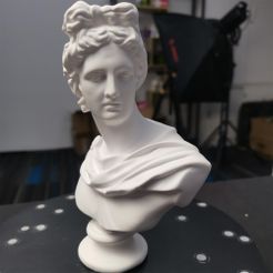 IMG_20210820_200658-1.jpg Download free STL file Apollo sculpture（generated by Revopoint POP） • 3D print design, Revopoint3D