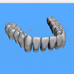 Dentes-Mandibula-Alternative-Exocad-01.jpg STL file Teeth Lower Jaw - Exocad - Alternative.・Model to download and 3D print