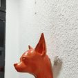 IMG-20250621-WA0029.jpg chihuahua dog head wall mount stl