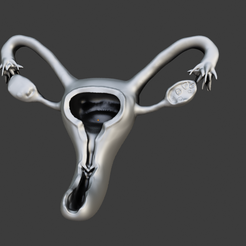 Utero-01.png STL file Utero・3D print object to download