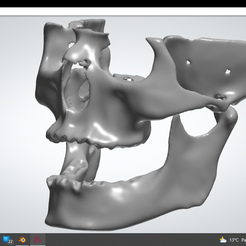 Vertices: 149596 Facets: 230264 rece Cy en 18q STL file Cranium STL・3D printable model to download