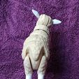 IMG_20250403_144945903.jpg Articulated Sheep