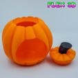 Pumpkin-Container-6.jpg Flex 3D Pumpkin Containers